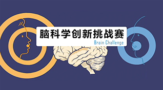 DIS還能用來玩兒腦科學？還能獲獎？——朗威?DISLab力助濟南聯隊勇奪2021全國腦科學大賽科研組一等獎
