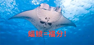 為科學(xué)而忙，是我們的福分——上海市中小學(xué)數(shù)字化實(shí)驗(yàn)系統(tǒng)研發(fā)中心的2024